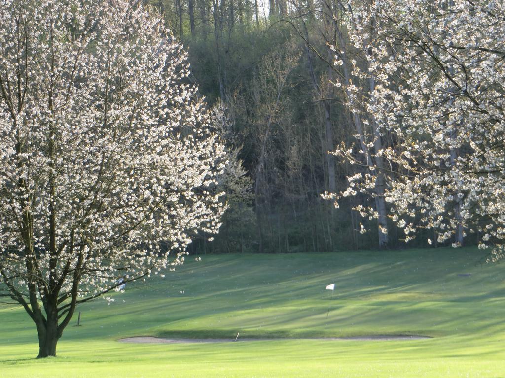 Golf & Hotel De Falnuee Mazy Exteriör bild
